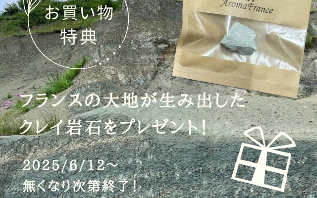【6/12～数量限定】グリーンイライトのクレイ岩石プレゼントキャンペーン