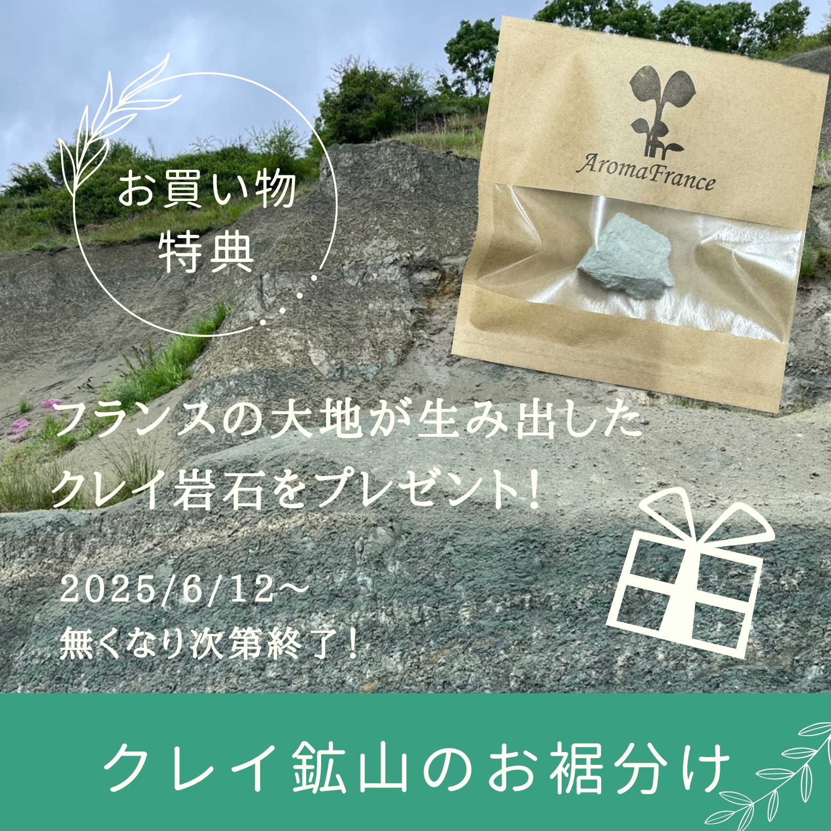 【6/12～数量限定】グリーンイライトのクレイ岩石プレゼントキャンペーン