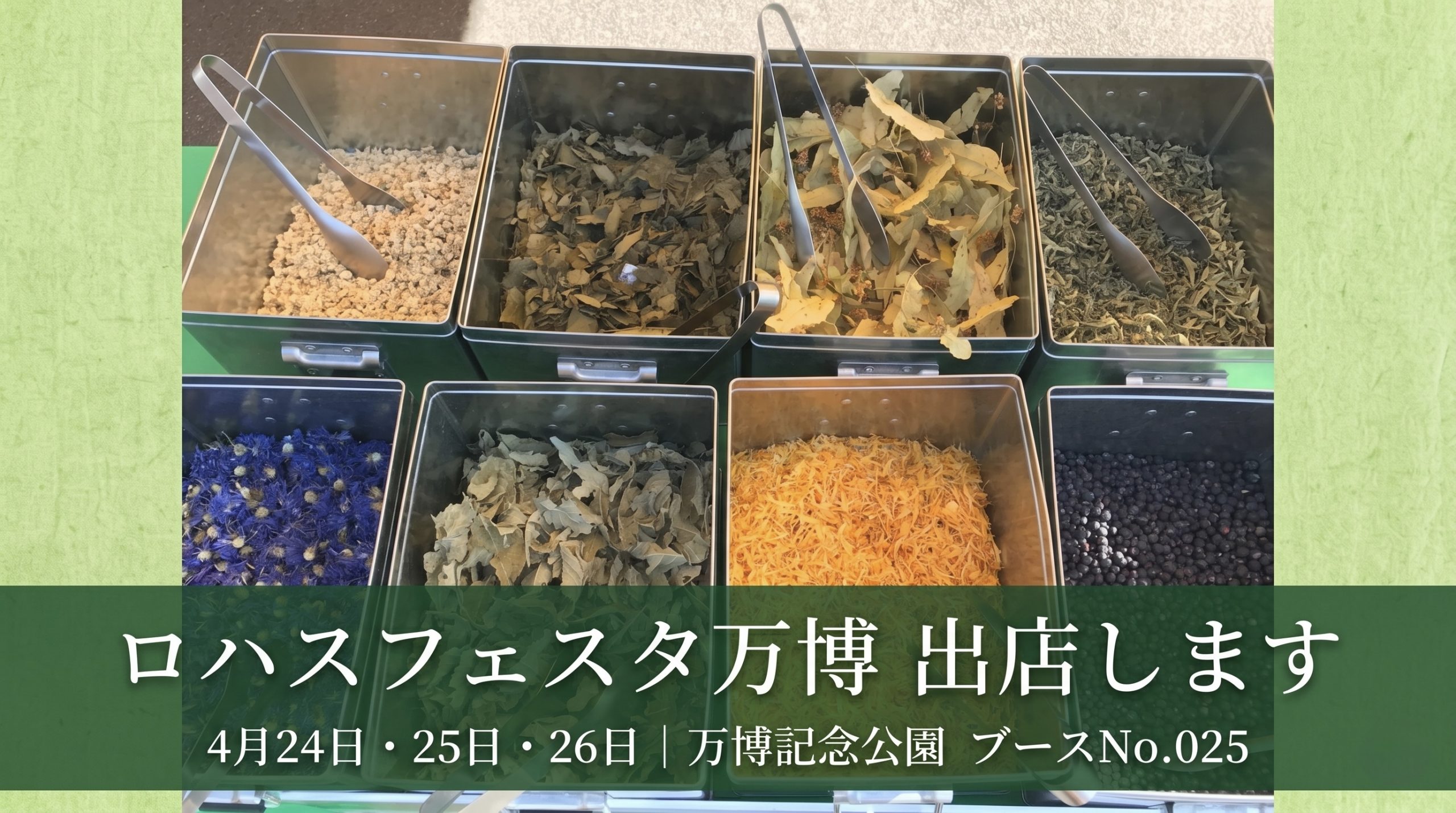 ロハスフェスタ万博 2026春に出展します｜4月24日〜26日 万博記念公園