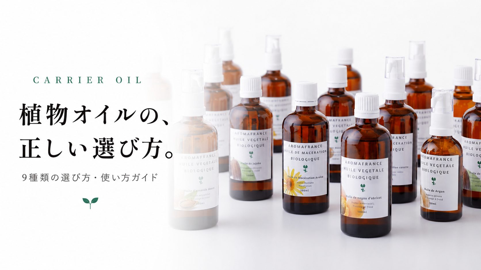 植物オイルの、正しい選び方。フランスのオーガニックキャリアオイル入門