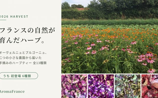 2026年収穫 フランス産オーガニックハーブティー13種｜オーヴェルニュとブルゴーニュの農園から