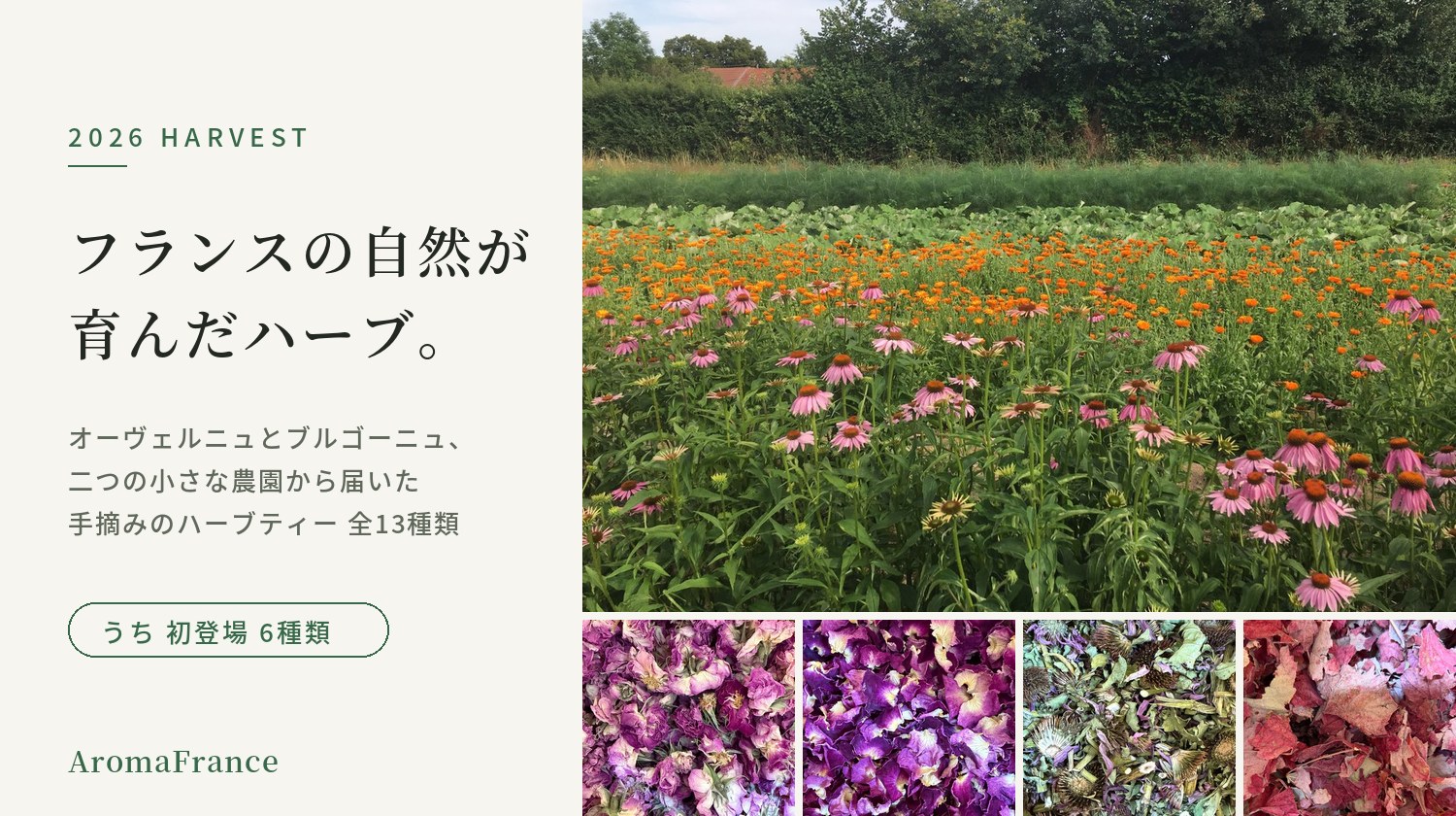 2026年収穫 フランス産オーガニックハーブティー13種｜オーヴェルニュとブルゴーニュの農園から